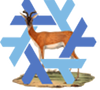 18.03 Impala logo